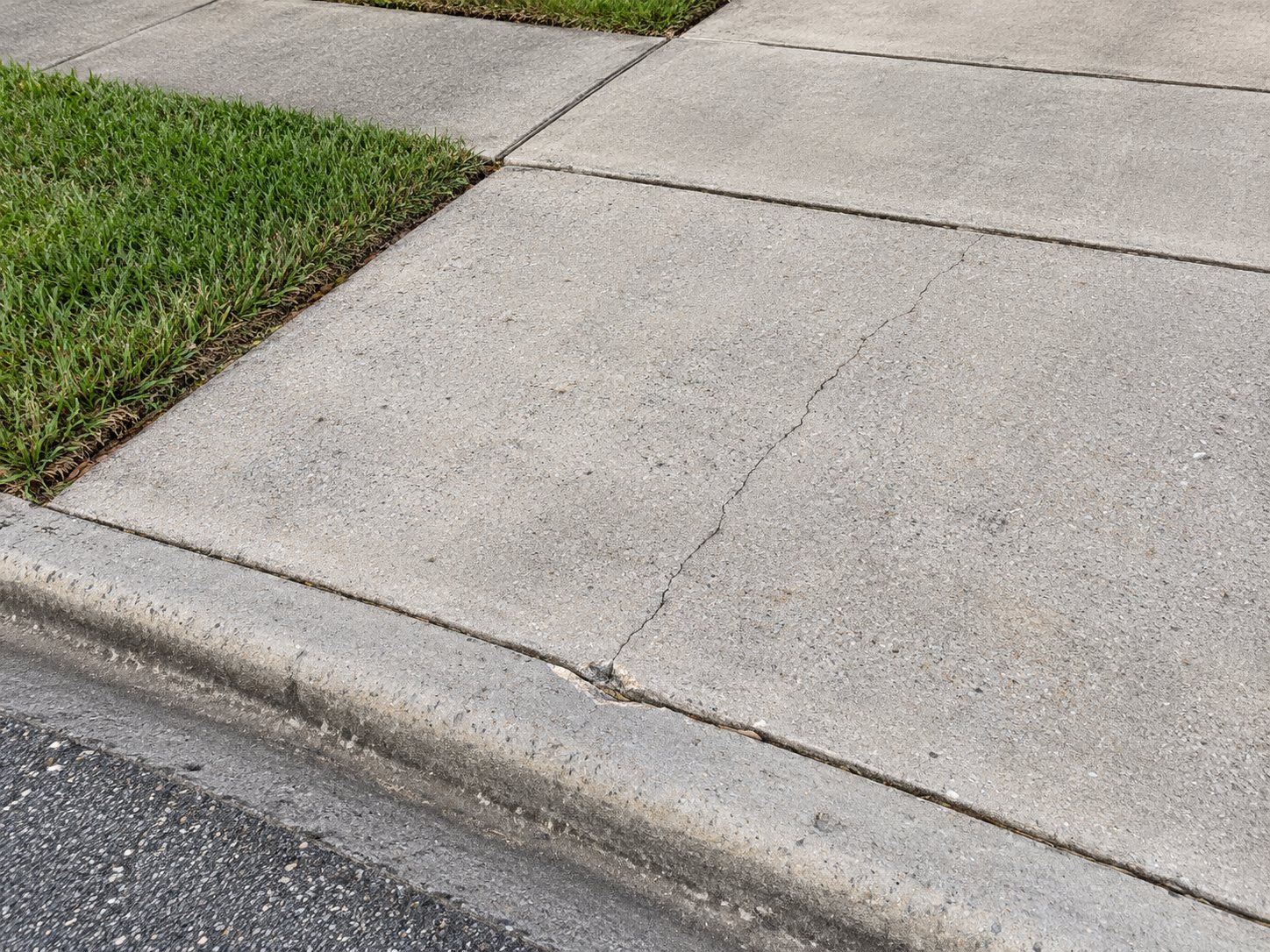 Close-up of an existing crack in a concrete driveway